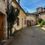 Dos_d-ane_restaurant_l-ane_tetu_gites_chambre_d-hotes_Ardeche_verte_Desaignes_village_medieval_citee_gastronomie_parc_naturel_monts_d-ardeche_randonnée_vélo_dolce-via_train_de_l-ardeche_village_de_caractère_relais_du_silence_déconnexion_balade_nature_terroir_location_vtt_electrique