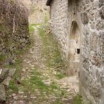 Dos_d-ane_restaurant_l-ane_tetu_gites_chambre_d-hotes_Ardeche_verte_Desaignes_village_medieval_citee_gastronomie_parc_naturel_monts_d-ardeche_randonnée_vélo_dolce-via_train_de_l-ardeche_village_de_caractère_relais_du_silence_déconnexion_balade_nature_terroir_location_vtt_electrique